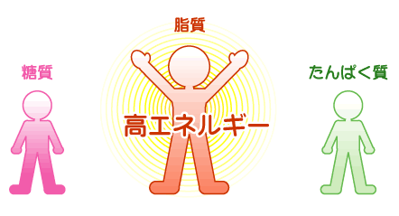 最も高いエネルギー＝脂質